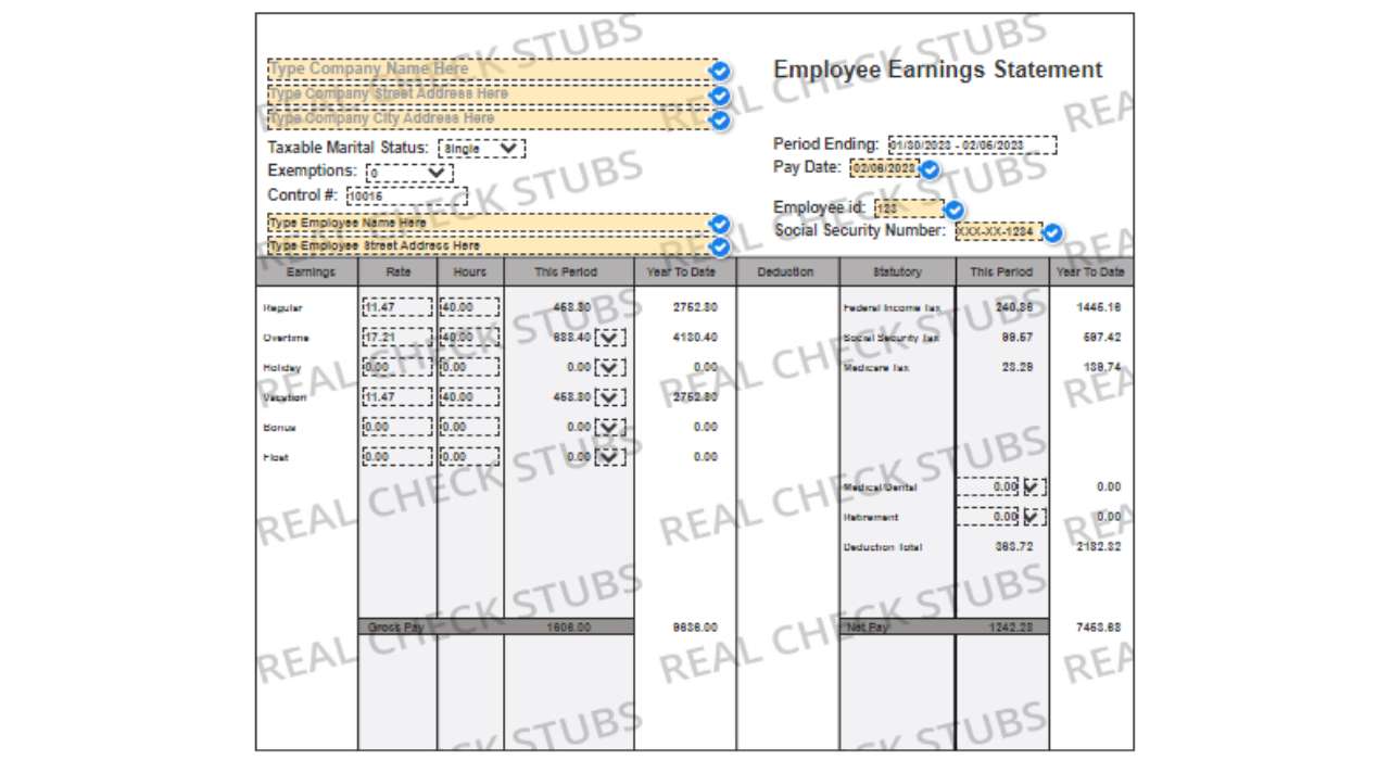 Advanced Paycheck Stub Template 2